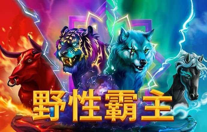 彩博888网手机版